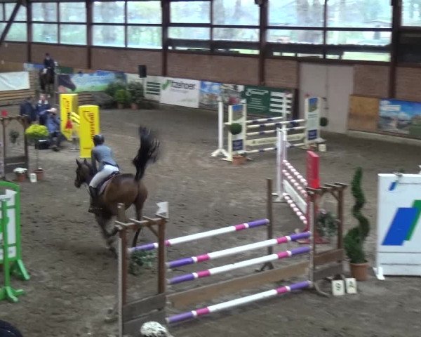 Reitturnier Stall Friedrichshulde, Sylva Kuhrt 2017