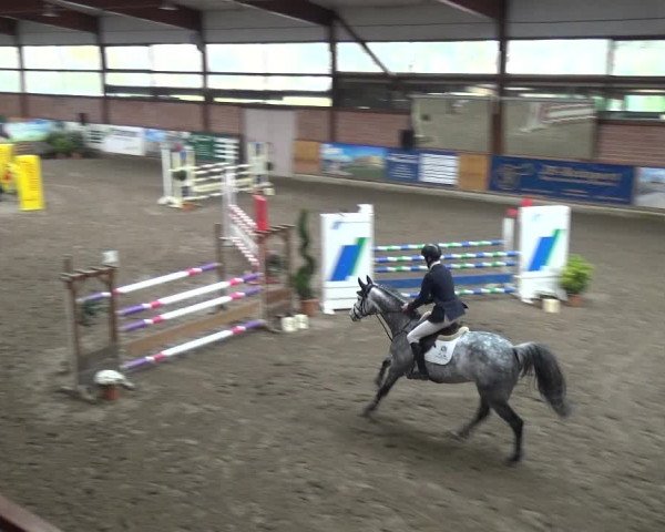 Reitturnier Stall Friedrichshulde, Sylva Kuhrt 2017