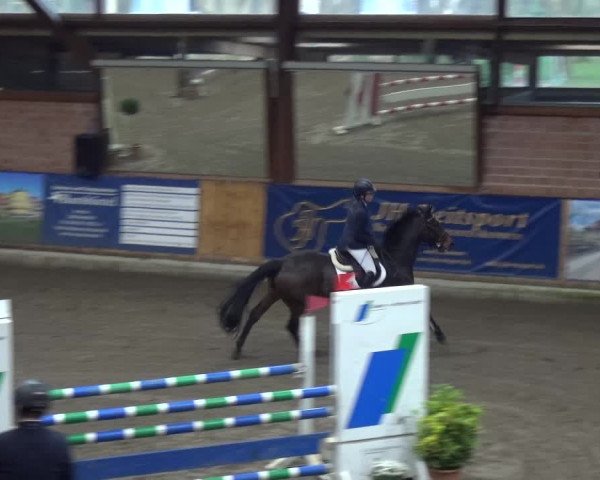 Reitturnier Stall Friedrichshulde, Sylva Kuhrt 2017
