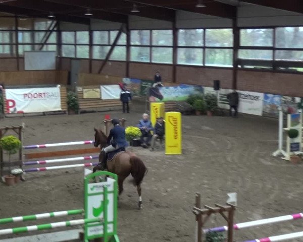 Reitturnier Stall Friedrichshulde, Sylva Kuhrt 2017