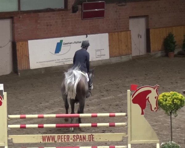 Reitturnier Stall Friedrichshulde, Sylva Kuhrt 2017