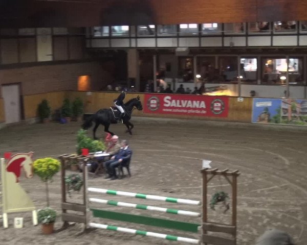 Reitturnier Stall Friedrichshulde, Sylva Kuhrt 2017