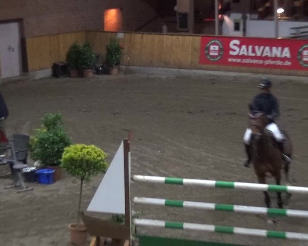 Reitturnier Stall Friedrichshulde, Sylva Kuhrt 2017