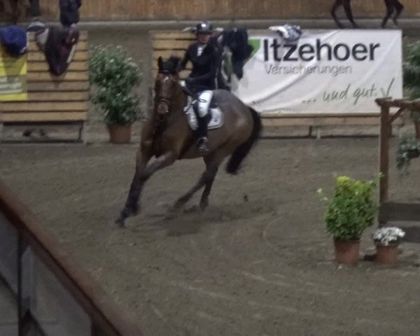 Reitturnier Stall Friedrichshulde, Sylva Kuhrt 2017