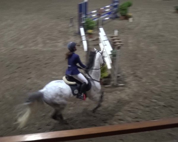 Reitturnier Stall Friedrichshulde, Sylva Kuhrt 2017
