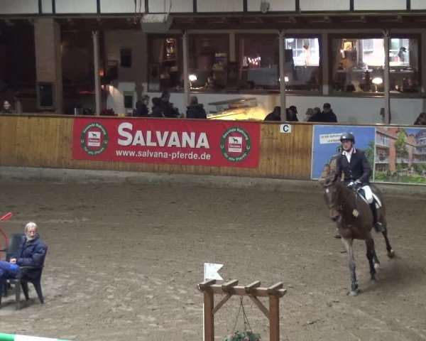 Reitturnier Stall Friedrichshulde, Sylva Kuhrt 2017
