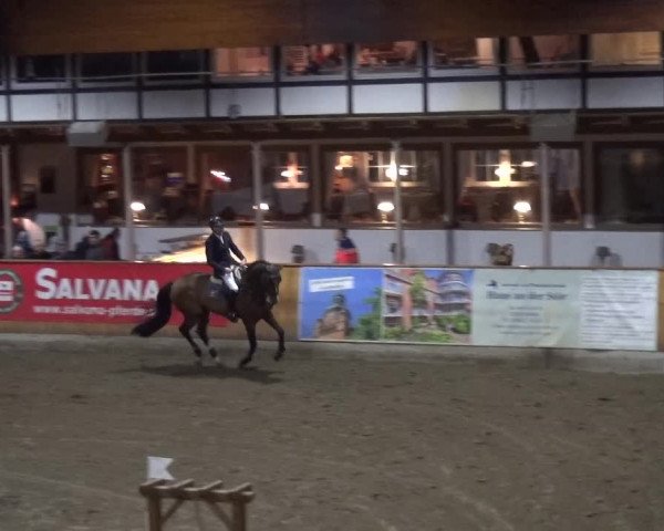 Reitturnier Stall Friedrichshulde, Sylva Kuhrt 2017