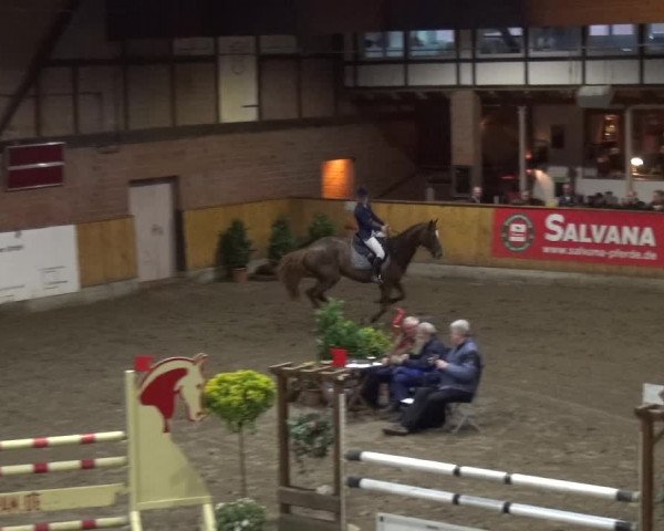 Reitturnier Stall Friedrichshulde, Sylva Kuhrt 2017