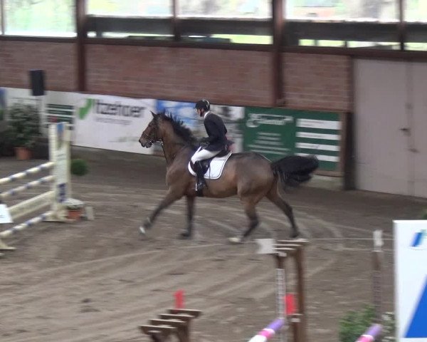 Reitturnier Stall Friedrichshulde, Sylva Kuhrt 2017