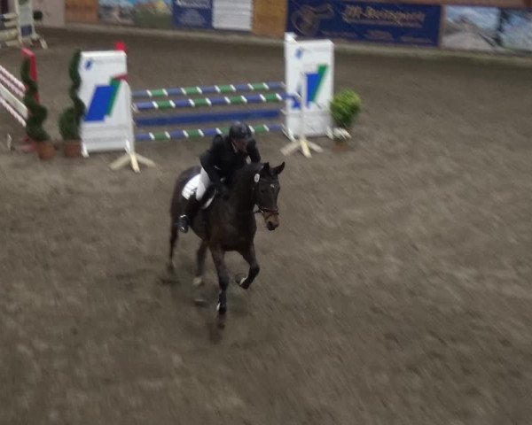 Reitturnier Stall Friedrichshulde, Sylva Kuhrt 2017