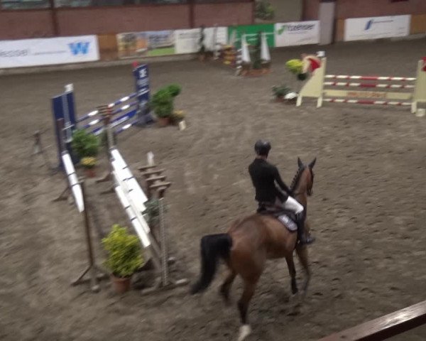 Reitturnier Stall Friedrichshulde, Sylva Kuhrt 2017