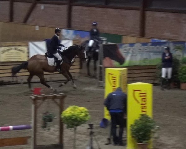 Reitturnier Stall Friedrichshulde, Sylva Kuhrt 2017