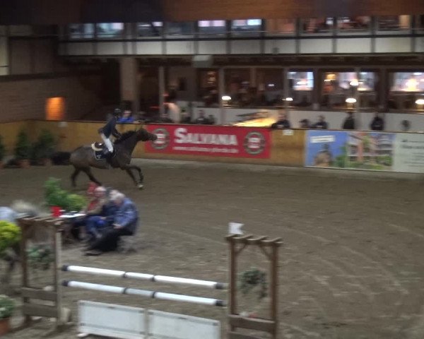 Reitturnier Stall Friedrichshulde, Sylva Kuhrt 2017
