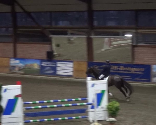 Reitturnier Stall Friedrichshulde, Sylva Kuhrt 2017