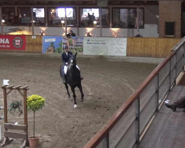 Reitturnier Stall Friedrichshulde, Sylva Kuhrt 2017
