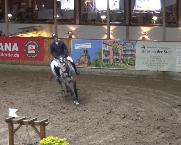 Reitturnier Stall Friedrichshulde, Sylva Kuhrt 2017