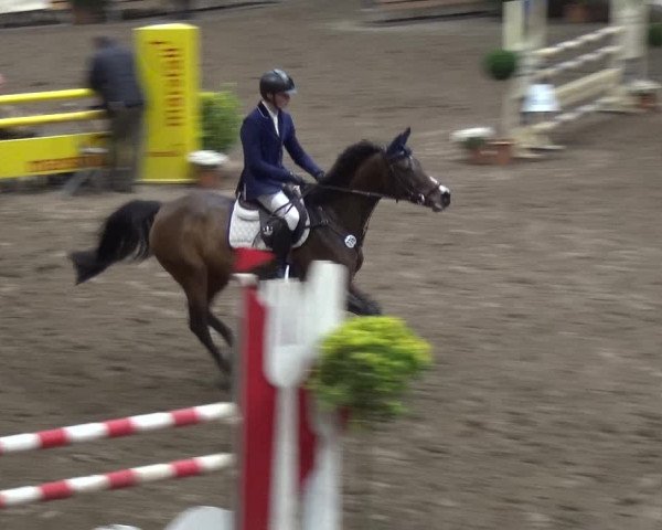 Reitturnier Stall Friedrichshulde, Sylva Kuhrt 2017