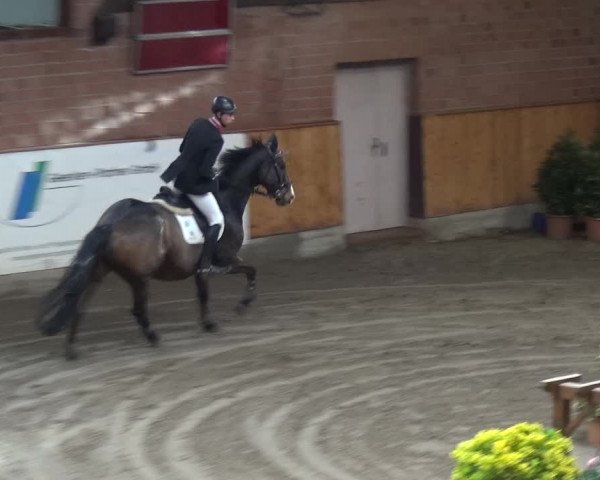 Reitturnier Stall Friedrichshulde, Sylva Kuhrt 2017