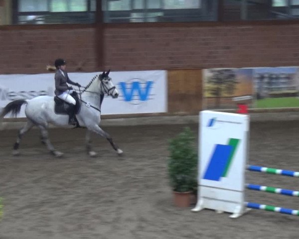 Reitturnier Stall Friedrichshulde, Sylva Kuhrt 2017