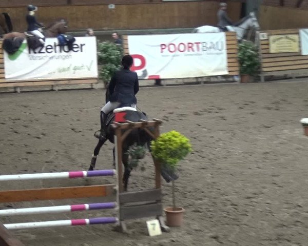 Reitturnier Stall Friedrichshulde, Sylva Kuhrt 2017