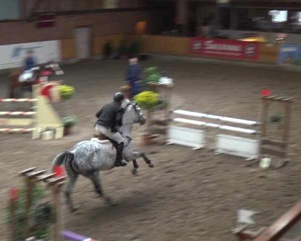 Reitturnier Stall Friedrichshulde, Sylva Kuhrt 2017