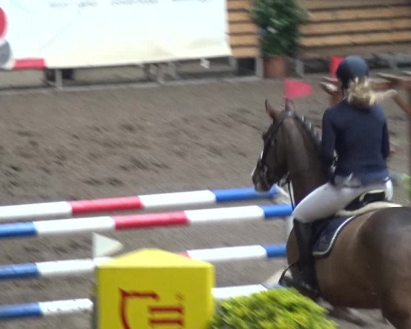 Reitturnier Stall Friedrichshulde, Sylva Kuhrt 2017