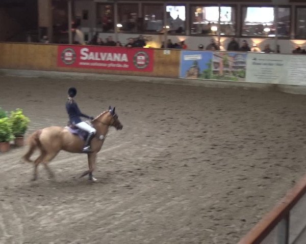 Reitturnier Stall Friedrichshulde, Sylva Kuhrt 2017