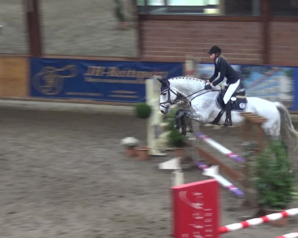 Reitturnier Stall Friedrichshulde, Sylva Kuhrt 2017