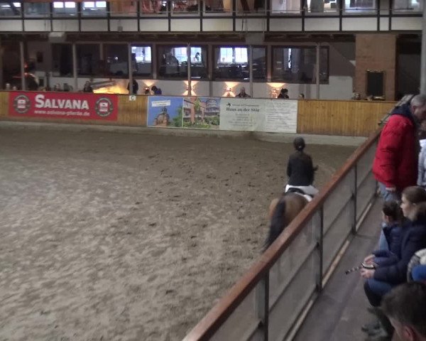Reitturnier Stall Friedrichshulde, Sylva Kuhrt 2017