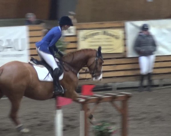 Reitturnier Stall Friedrichshulde, Sylva Kuhrt 2017