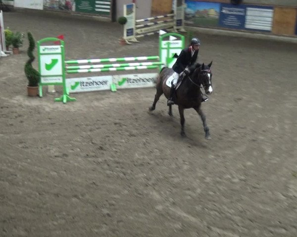 Reitturnier Stall Friedrichshulde, Sylva Kuhrt 2017