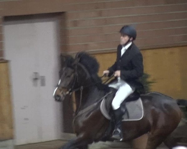 Reitturnier Stall Friedrichshulde, Sylva Kuhrt 2017