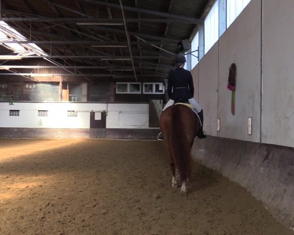 Reitturnier Ascheberg 2021
