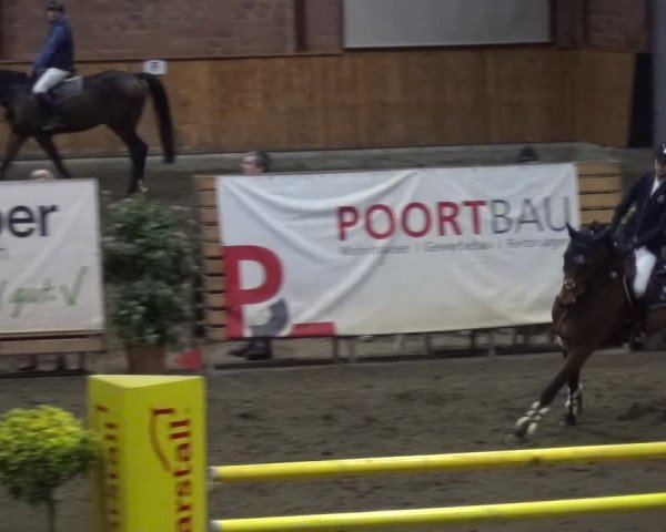 Reitturnier Stall Friedrichshulde, Sylva Kuhrt 2017