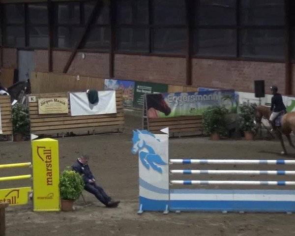Reitturnier Stall Friedrichshulde, Sylva Kuhrt 2017