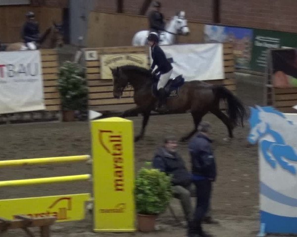 Reitturnier Stall Friedrichshulde, Sylva Kuhrt 2017