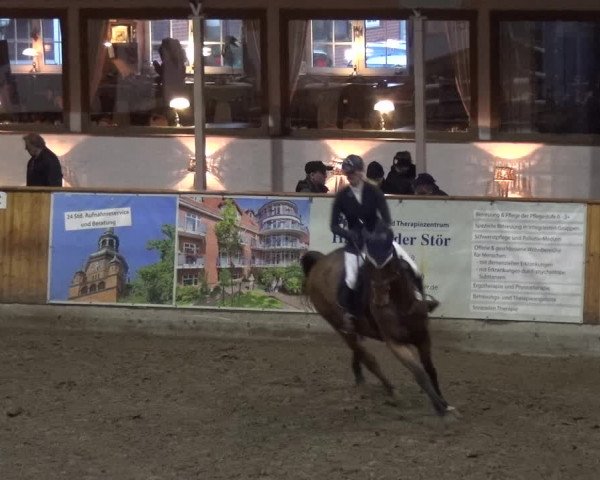 Reitturnier Stall Friedrichshulde, Sylva Kuhrt 2017