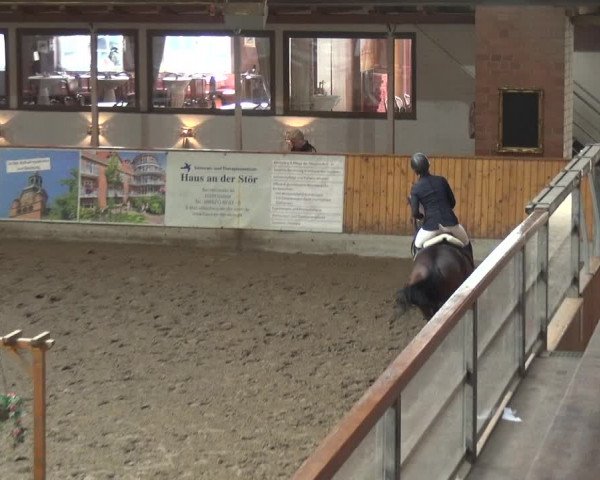 Reitturnier Stall Friedrichshulde, Sylva Kuhrt 2017