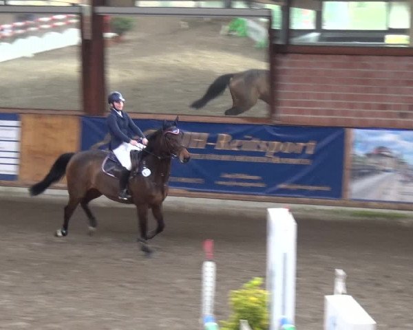 Reitturnier Stall Friedrichshulde, Sylva Kuhrt 2017
