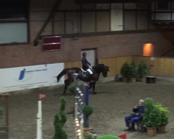 Reitturnier Stall Friedrichshulde, Sylva Kuhrt 2017