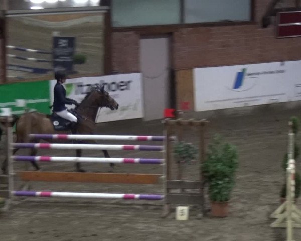 Reitturnier Stall Friedrichshulde, Sylva Kuhrt 2017