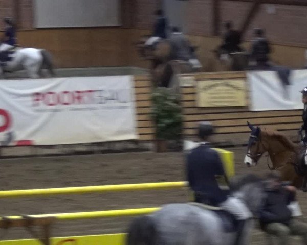 Reitturnier Stall Friedrichshulde, Sylva Kuhrt 2017