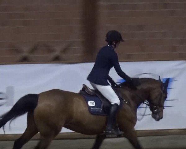 Reitturnier Stall Friedrichshulde, Sylva Kuhrt 2017
