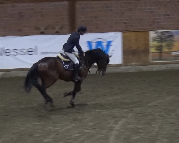Reitturnier Stall Friedrichshulde, Sylva Kuhrt 2017