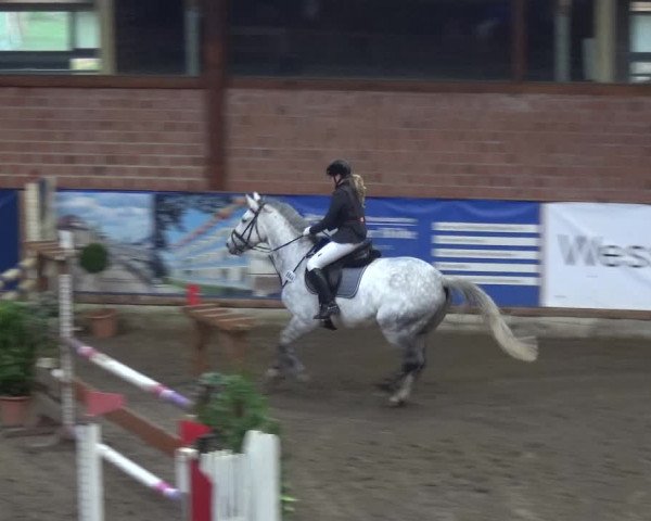 Reitturnier Stall Friedrichshulde, Sylva Kuhrt 2017