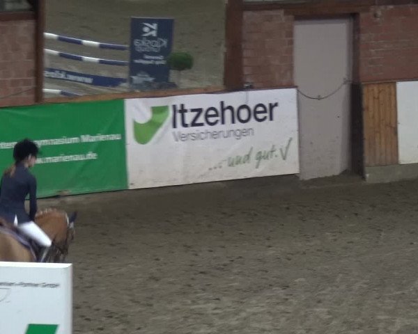 Reitturnier Stall Friedrichshulde, Sylva Kuhrt 2017