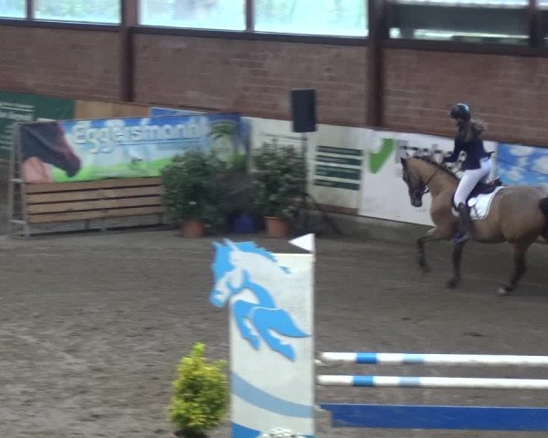 Reitturnier Stall Friedrichshulde, Sylva Kuhrt 2017
