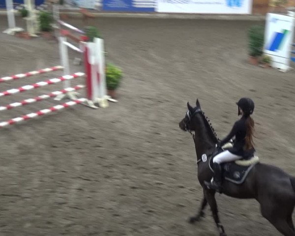 Reitturnier Stall Friedrichshulde, Sylva Kuhrt 2017