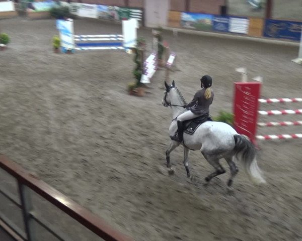 Reitturnier Stall Friedrichshulde, Sylva Kuhrt 2017