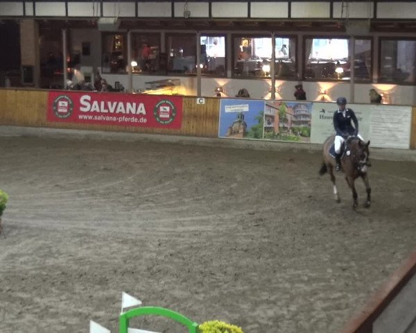 Reitturnier Stall Friedrichshulde, Sylva Kuhrt 2017